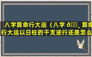 八字算命行大运（八字 🌸 算命行大运以日柱的干支逆行还是怎么算）